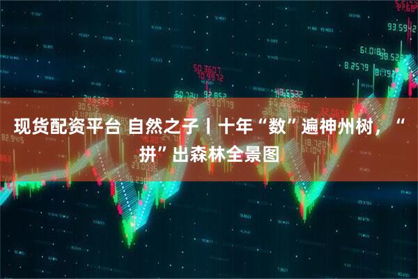 现货配资平台 自然之子丨十年“数”遍神州树，“拼”出森林全景图