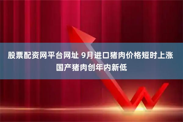 股票配资网平台网址 9月进口猪肉价格短时上涨 国产猪肉创年内新低
