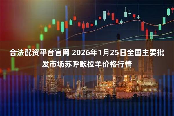 合法配资平台官网 2026年1月25日全国主要批发市场苏呼欧拉羊价格行情