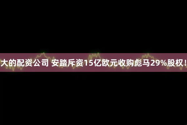 大的配资公司 安踏斥资15亿欧元收购彪马29%股权！