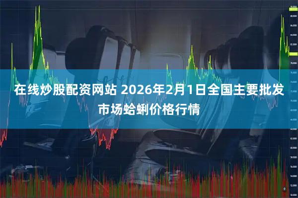 在线炒股配资网站 2026年2月1日全国主要批发市场蛤蜊价格行情